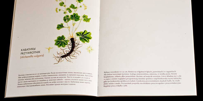 Herbarium. Łemkowski zielnik – dla dużych i małych